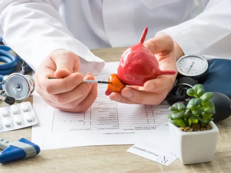 qual o tamanho da próstata em risco de câncer de próstata